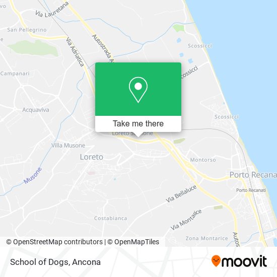 School of Dogs map