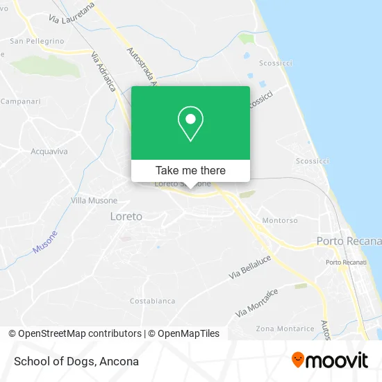 School of Dogs map