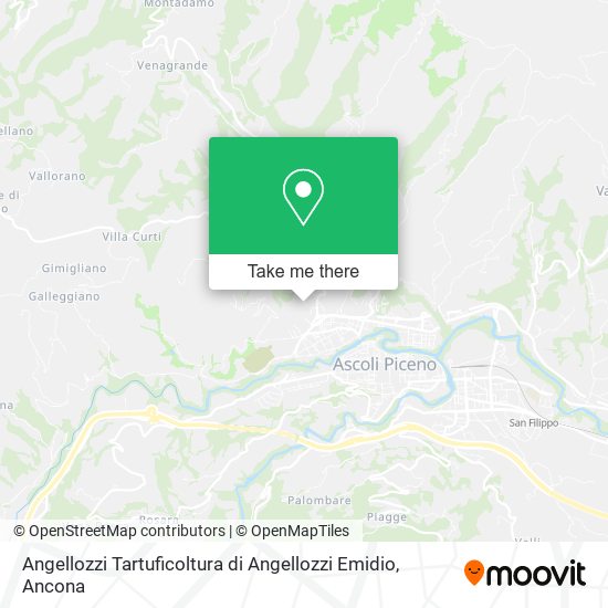 Angellozzi Tartuficoltura di Angellozzi Emidio map