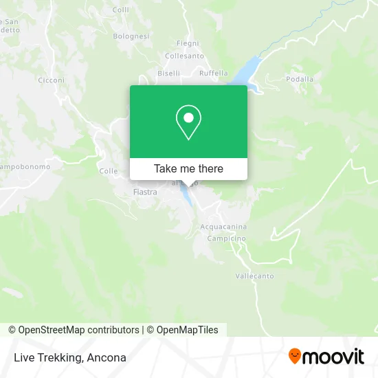 Live Trekking map
