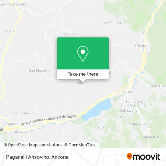 Paganelli Ansovino map