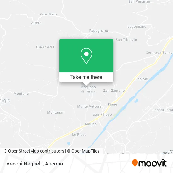 Vecchi Neghelli map
