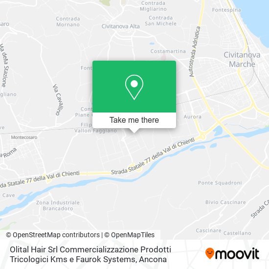 Olital Hair Srl Commercializzazione Prodotti Tricologici Kms e Faurok Systems map