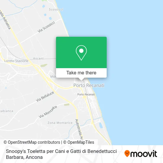 Snoopy's Dog and Cat Grooming by Benedettucci Barbara map