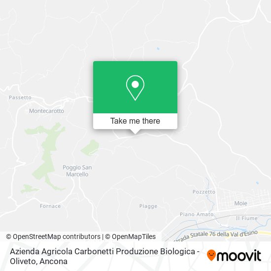 Azienda Agricola Carbonetti Produzione Biologica - Oliveto map