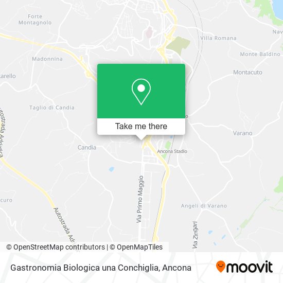 Gastronomia Biologica una Conchiglia map