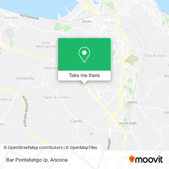 Bar Pontelungo Ip map