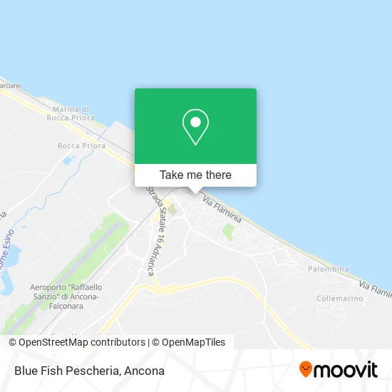 Blue Fish Fishmonger map