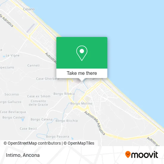 Intimo map