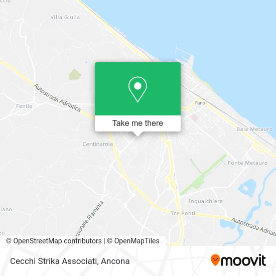 Cecchi Strika Associates map