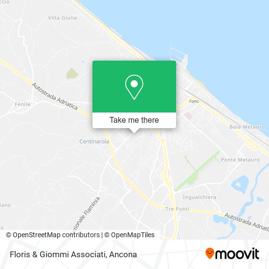 Floris & Giommi Associati map