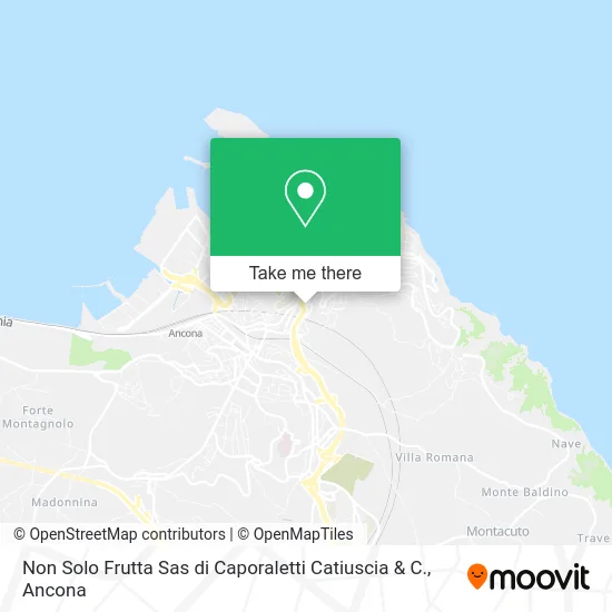 Non Solo Frutta Sas di Caporaletti Catiuscia & C. map