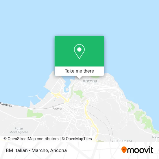 BM Italian - Marche map