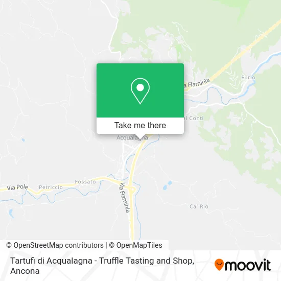 Acqualagna Truffles - Truffle Tasting and Shop map