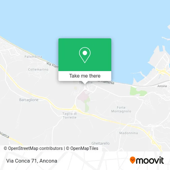 Via Conca 71 map