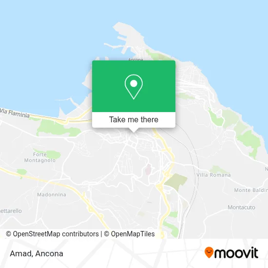 Amad map