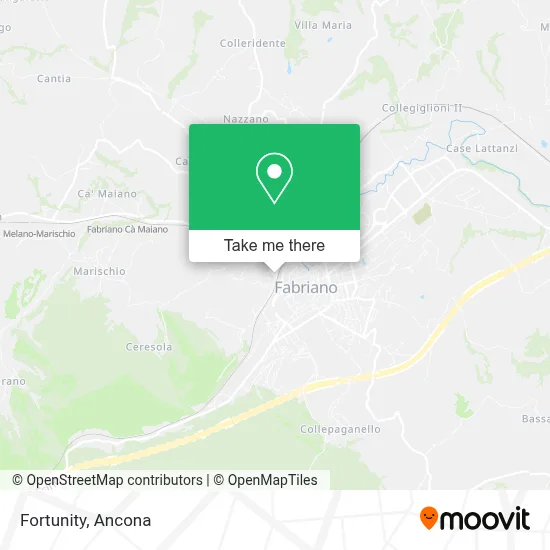 Fortunity map