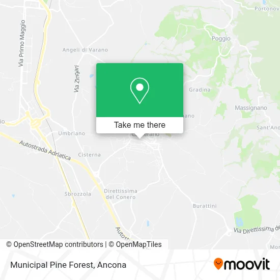 Municipal Pine Forest map