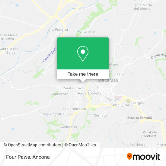 Four Paws map