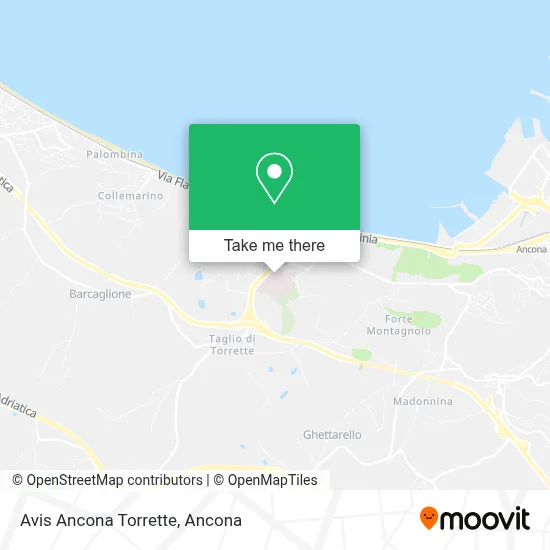 Avis Ancona Torrette map