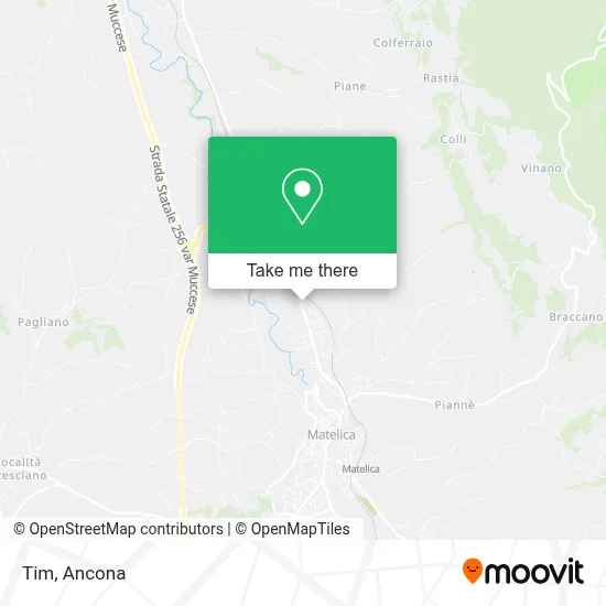 Tim map