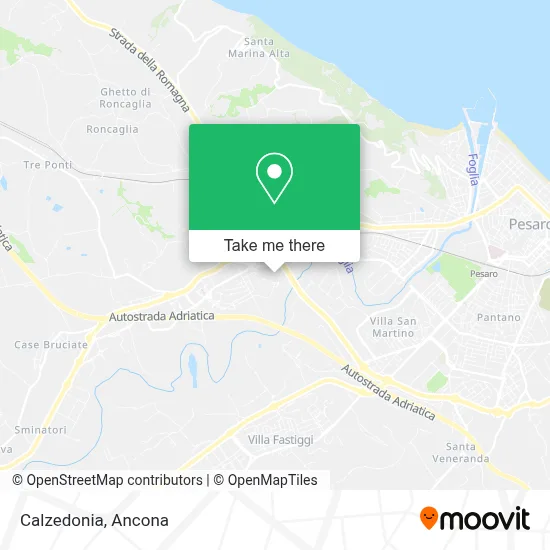 Calzedonia map