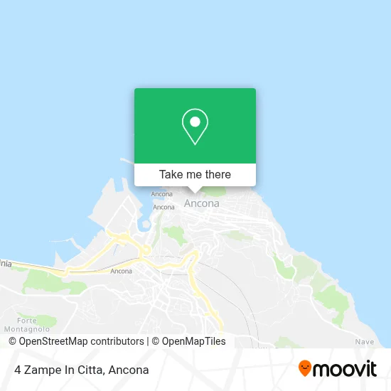 4 Zampe In Citta map