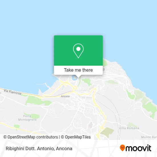 Ribighini Dott. Antonio map