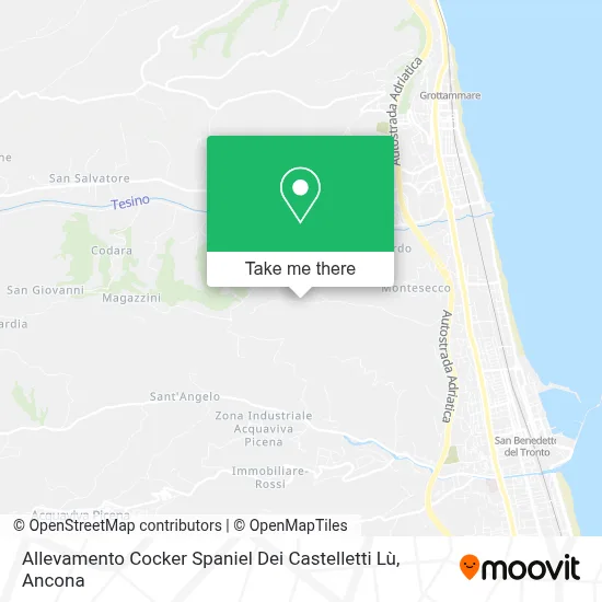 Allevamento Cocker Spaniel Dei Castelletti Lù map