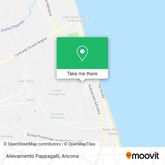 Allevamento Pappagalli map