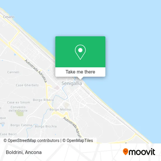 Boldrini map