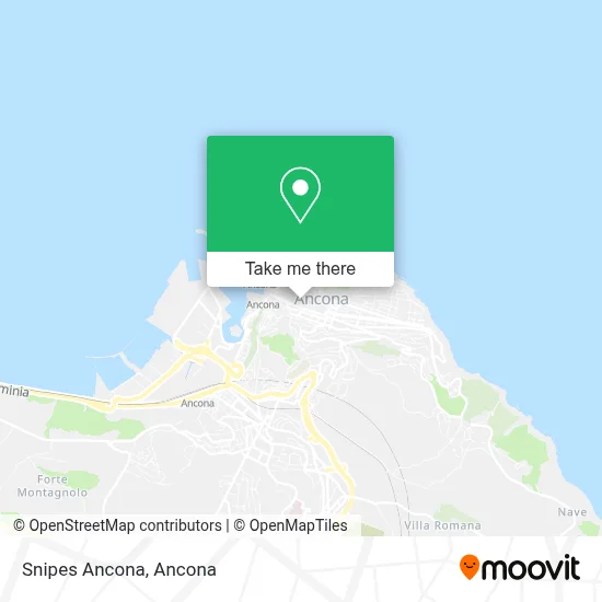 Snipes Ancona map