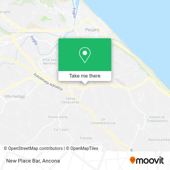New Place Bar map