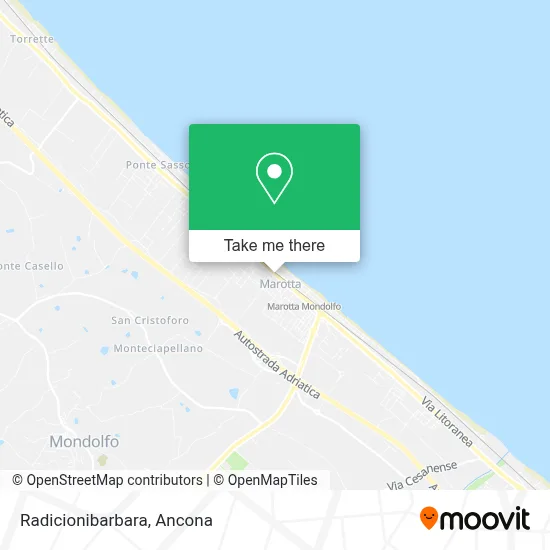 Radicionibarbara map