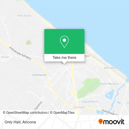 Only Hair map