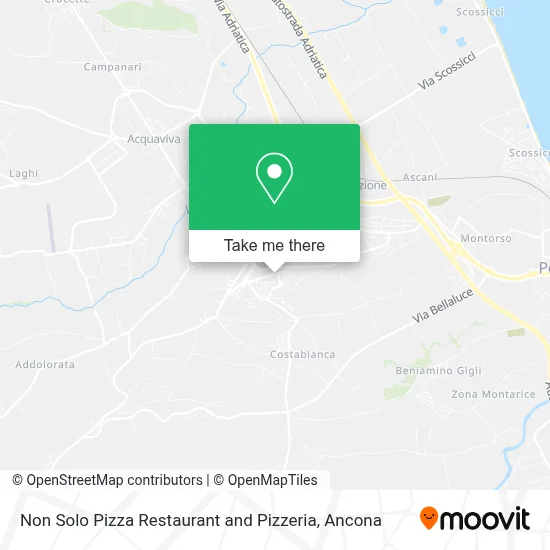 Non Solo Pizza Restaurant and Pizzeria map