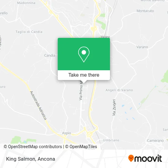 King Salmon map
