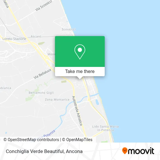 Conchiglia Verde Beautiful map