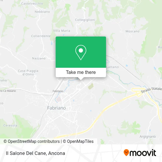 Il Salone Del Cane map