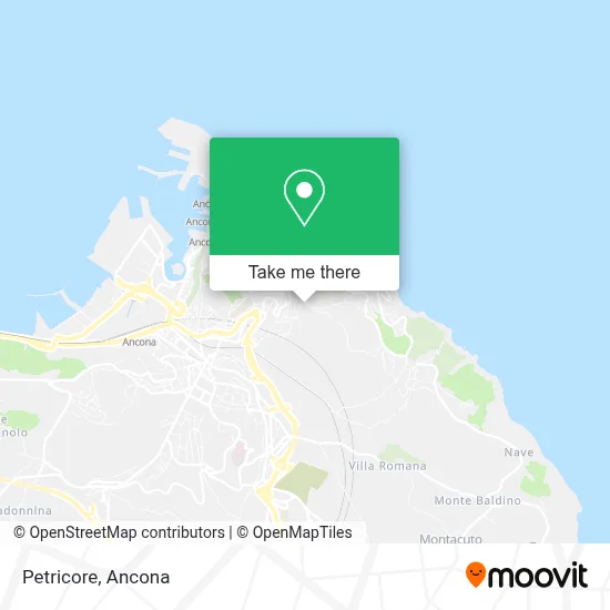 Petricore map