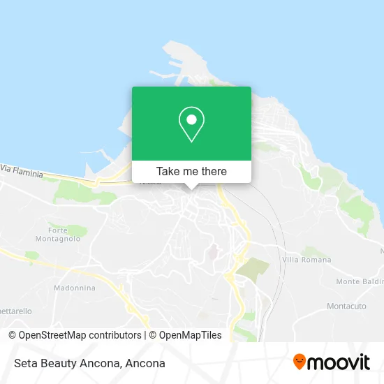 Seta Beauty Ancona map