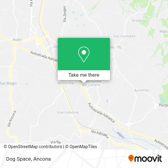 Dog Space map