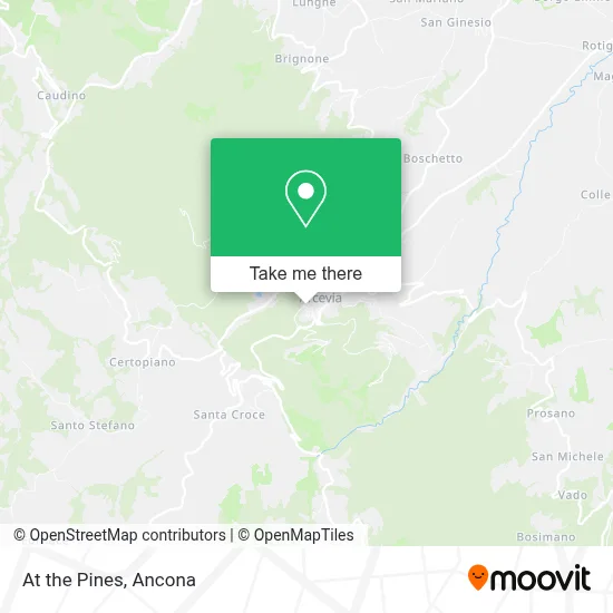At the Pines map