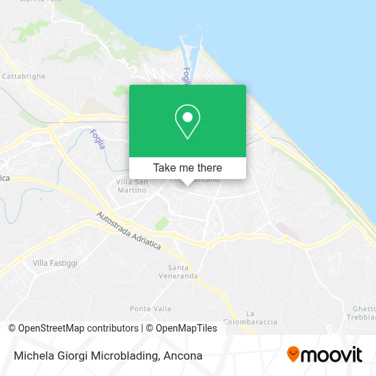Michela Giorgi Microblading map