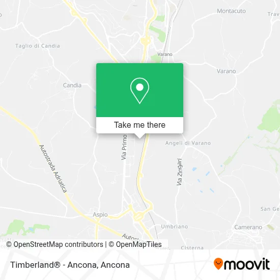 Timberland® - Ancona map