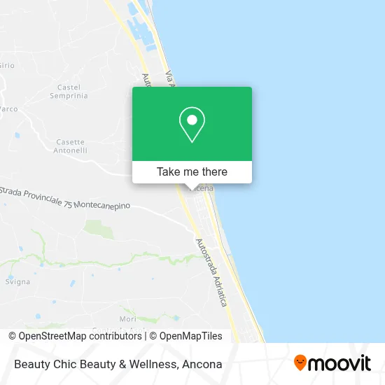 Beauty Chic Beauty & Wellness map