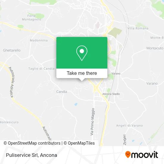 Puliservice Srl map