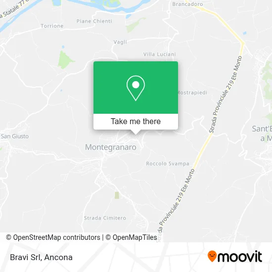 Bravi Srl map