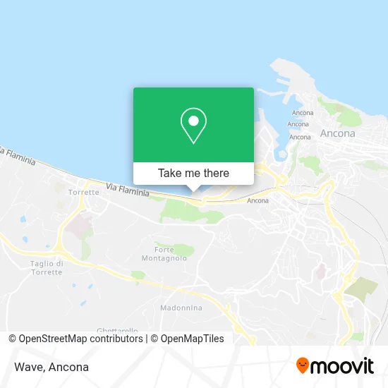 Wave map