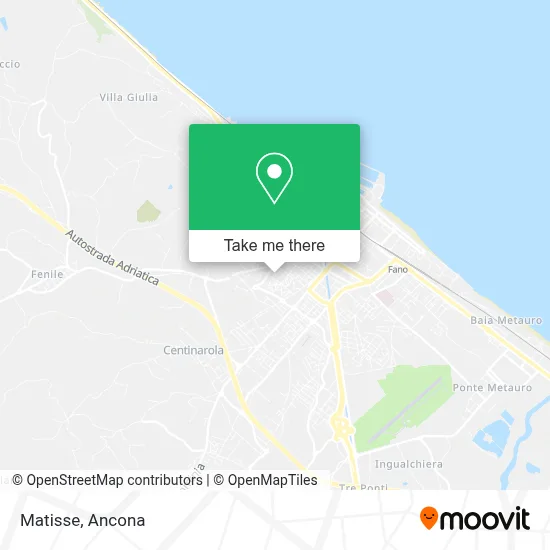 Matisse map